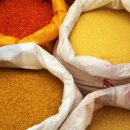 화령초교병설유치원 이미지