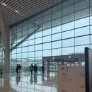 라임호스텔 | 발리(자유여행)에서 생긴 일 ver. 1 (짱구, 스미냑)