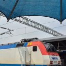 하평13-23 농로 | [동해-묵호 당일치기] 동해-묵호 여행 코스 추천, 코레일 앱 예매, 무궁화호, 누리로, 경주 환승