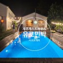 제주도게스트하우스 유로민박 | 제주도 게스트하우스 추천, 혼자 제주도에 왔다면 유로민박