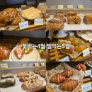 꽃피는4월밀익는5월 이미지