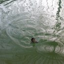 헤라낚시터 이미지