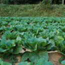 산마을고등학교 이미지