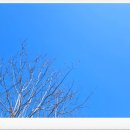 호수의오후 이미지