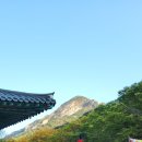 계룡그린콘도 | 계룡산의 가을, 다시 만난 40년의 우정