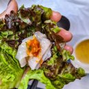 태백회수산 이미지