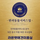 행복펫 애견미용실 이미지