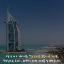 애드골든 티스토리