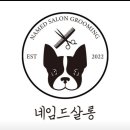 네임드 살롱 이미지