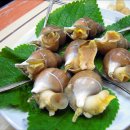 강구막회 이미지