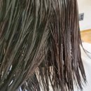 열에아홉미용실 | 일산 미용실 머릿결 상해서 찾은 이곳