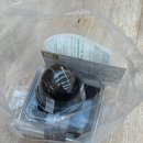 하늘담쟁이 | 담쟁이는 말없이 그 벽을 오른다