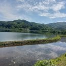 오월쉼표 이미지