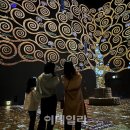 한화호텔앤드리조트/평창 | 설날(22일)도 문 여는 &#39;꿀 여행지&#39;는 어디?