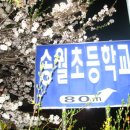 송월초등학교 이미지