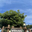 바닷가민박 - 보령시 삽시도1길 162 | 바닷가민박