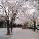 문정어린이공원 이미지