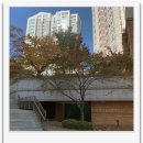 대림행운공인중개사사무소 이미지