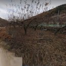 금오2농장 이미지