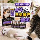 고양이 키튼 사료 퓨리나프로플랜 건식 살몬 키튼 그레이비 후기