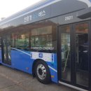 삼성여객㈜ 이미지