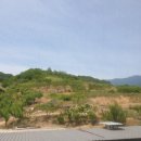 카오스모텔 이미지