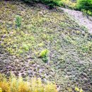 생초경로당 이미지