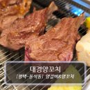 대경 | 평택 동삭동맛집 :: 대경양꼬치 - 양갈비 후기