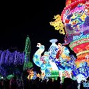 공룡민박 이미지