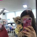 레몬이네 그루밍샵 이미지