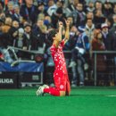 팀리스펙트 이미지