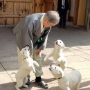 강아지 대통령 이미지