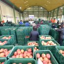 청송사과유통센터 주왕산 APC 이미지