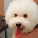 마린숲 동물병원 이미지