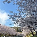 영도도서관 | 📚 [영도] 오션뷰가 펼쳐지는 이색 도서관! 국립해양박물관 '해양도서관' 방문기