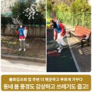 동네봄