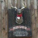 하신상로 | [제주도] 제주 친봉산장 내돈내산 방문 후기 | 깨먹는 우유와 빵 후기