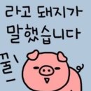 국가대표정육점 이편한점 이미지