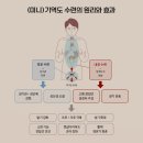 파워 기역도, 불패 단련법의 명도과학(2)-성기 확대, 배뇨 개선과 전립선 건강, 뱃살다이어트, 갱년기 회춘 이미지