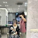 수정애견미용실 이미지