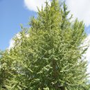 이제 부산 이미지