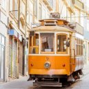 나홀로민박 이미지