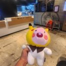 가든뽑기방 이미지