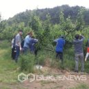 병곡면사무소 이미지