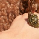 하루민박 이미지