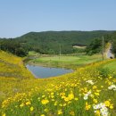 파라지오 컨트리클럽 이미지