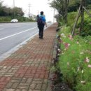 성산읍 고성 수협 이미지