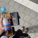 윤아축사 이미지