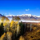 손해평가사 1차 이미지