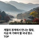 계절따라 이미지